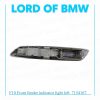 BMW 5 F10 F11 Front fender indicator left Right 7154167 63137154167