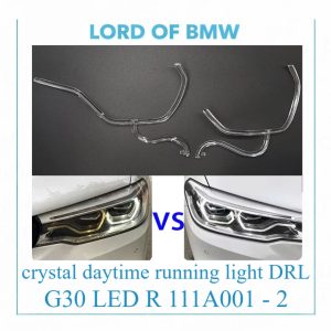 DRL crystal light G30 LED R  L CH 111A001 - 111A002