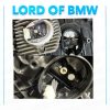DRL crystal light G30 LED R  L CH 111A001 - 111A002