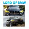 E70 E71 LCI 2011 2013 Yellow DRL Angel Eye
